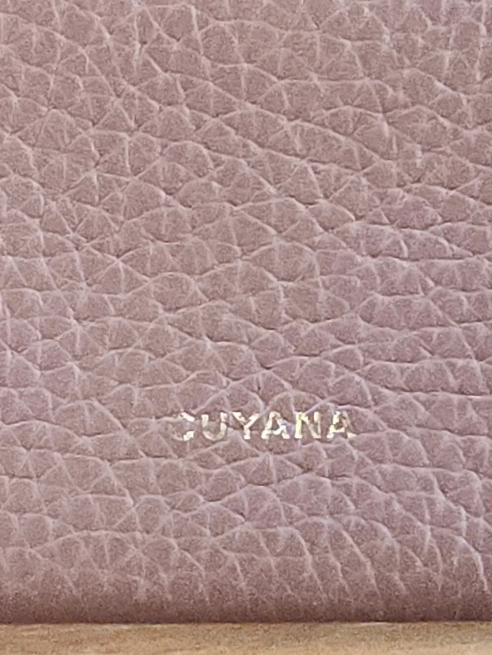 Cuyana System Flap Bag in Dark Chesnut